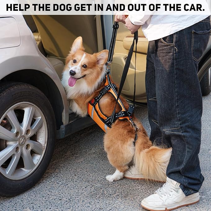 COODEO Mobility Dog Lift Harness, Emergency Carry Sling, Pet Rear Leg Support Rehabilitation Lifts Vest, Dog Carrier for Senior Dogs Joint Injuries, Arthritis (Orange, M)