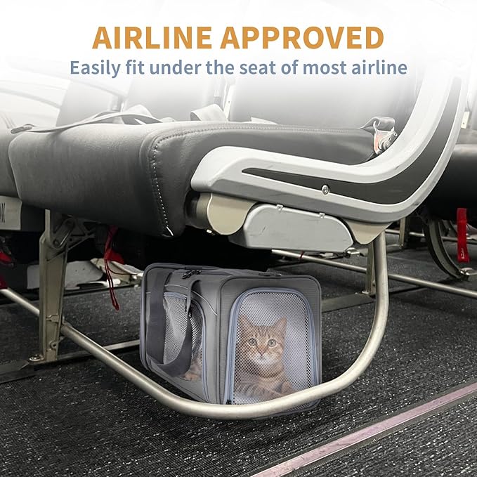 ‌Petsfit Airline Approved Pet Carrier for Small Cats, 16.5x8.6x11 TSA Approved Carrier, with Removable Dual-Sided Padding (2-Way Placement) - Fits Under Most Airplane Seats, Escape Proof (Gray)