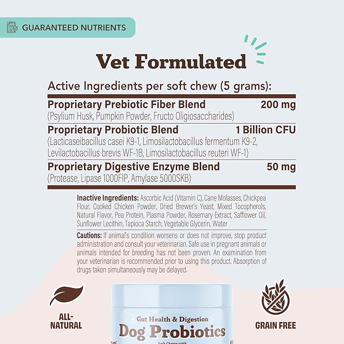 Natural Dog Company Gut Health & Probiotic Chews for Dogs (45 Ct), Prebiotics, Digestive Enzymes & Canine Specific Probiotics for Digestion, Gas, Loose Stool & Immune System Support, 1 Chew Daily