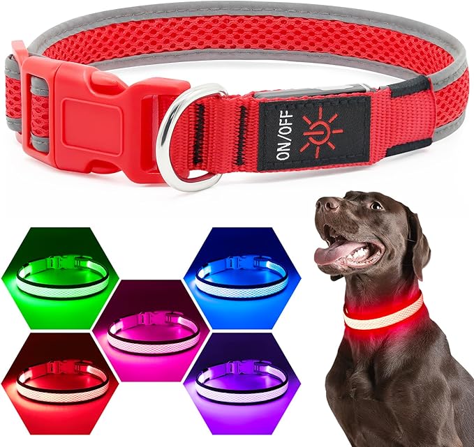 LED Dog Collar, Light Up Dog Collar USB Rechargeable, Brightest Dog Lights for Night Walking, Adjustable Dog Collar Light for Dog Safety(Large, Ruby Red)