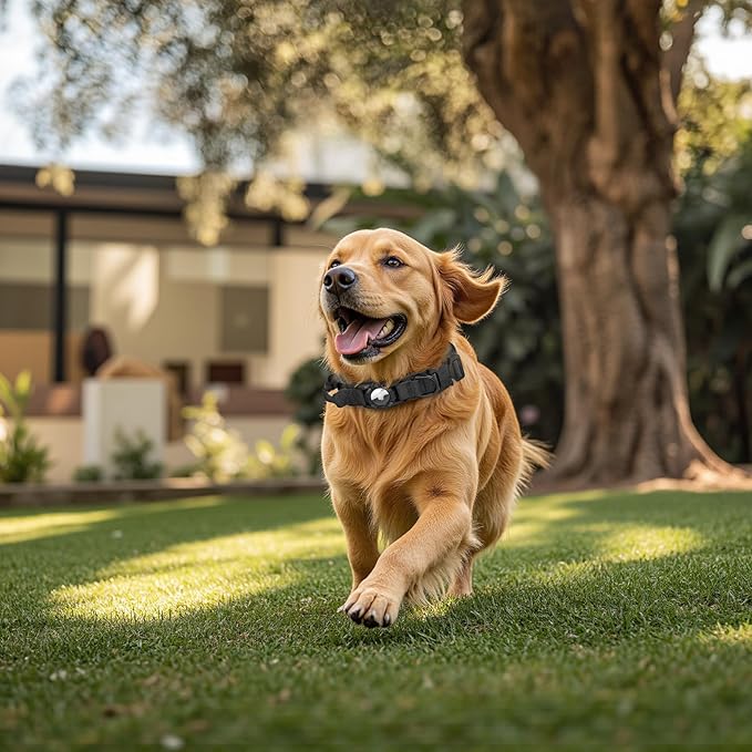 Tactical AirTag Dog Collar Leash Set - Heavy Duty, Adjustable GPS Collar Compatible with Apple AirTag, with Holder & Control Handle for Medium/Large Dogs [ Black, L ]