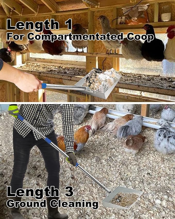 Large Chicken Poop Scooper, Chicken Coop Accessories,Metal Litter Scooper for Chicken,Chicken Coop Cleaning Tools,Heavy Duty Poop Shovel,Chicken Coop Must Haves(Silver)