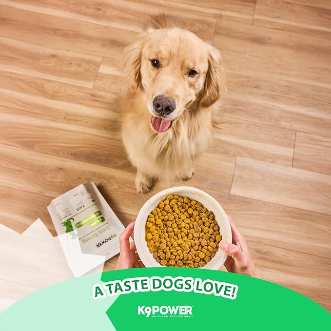 K9 Power Joint Strong Supplement 1 lb - Dog Joint Health & Mobility Support with Glucosamine, Curcumin, Chondroitin, Hip & Joint Pain Relief