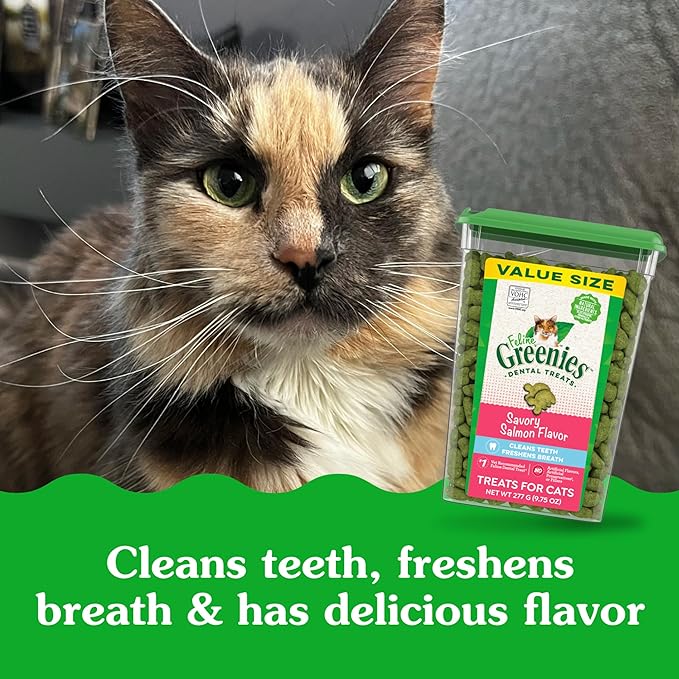 Greenies Feline Adult Dental Cat Treats, Savory Salmon Flavor, 9.75 oz. Tub