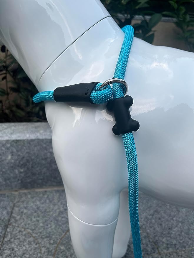 Slip Lead Dog Leash，Strong Nylon Rope Leash and Padded Handle,No Pull Outdoor Walking Training Lead for Small Medium Large Dogs(Blue,1/2"×4ft)