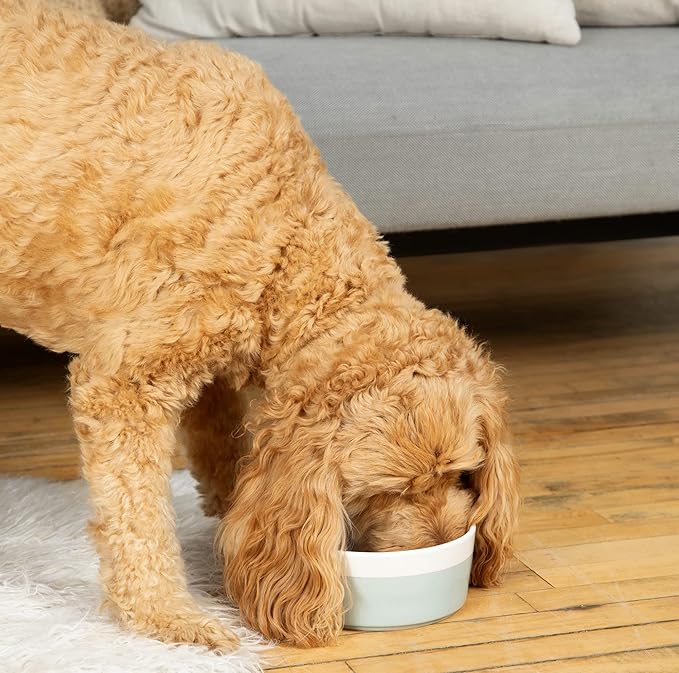 Waggo Dipper Ceramic Dog Bowl for Small and Large Breeds - Heavyweight and Durable Pet Food and Water Dish Crock, Dishwasher Safe, Modern (Rose, Small)