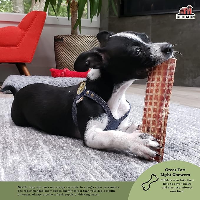 Redbarn Pet Products All-Natural Barky Bark Beef Jerky for Dogs - Medium 4-5" Strips - Premium Grain-Free & Rawhide-Free Treats w/Chondroitin & Glucosamine for Joint Health - 6 Count