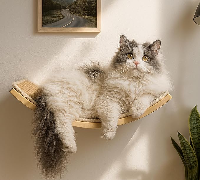 Wood Cat Wall Bed with Sisal Mat – Curved Cats Shelf for Scratching and Sleeping, Wall Mounted Cat Furniture for Large Cats