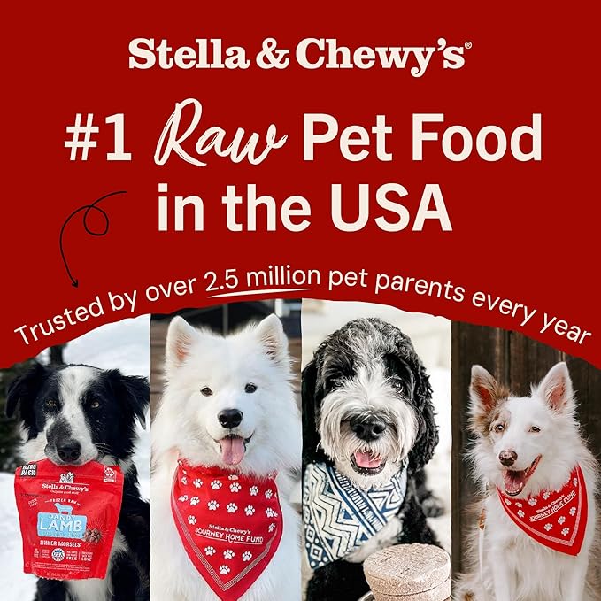 Stella & Chewy's Freeze-Dried Raw Dinner Patties - Beef Recipe - High Protein Grain-Free Puppy & Dog Food - Perfect For Picky Eaters - 5.5 oz
