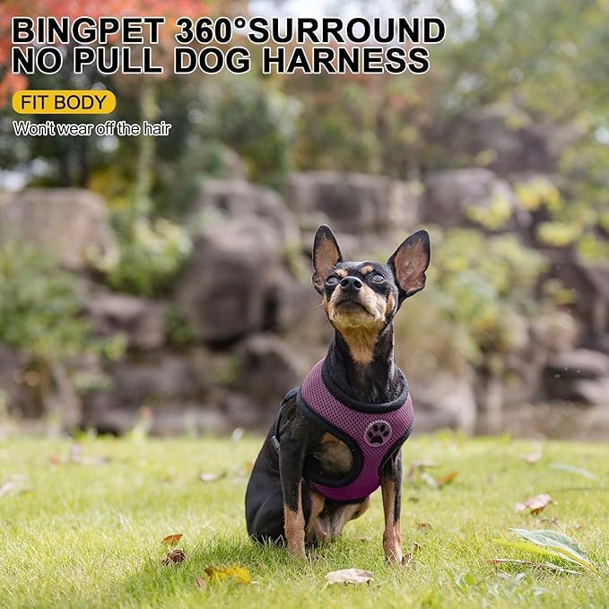 BINGPET Small Dog Harness - Breathable Mesh Puppy Cat Harnesses - No Pull Adjustable Dog Harness Dog Vest Harness for Small and Medium Dogs