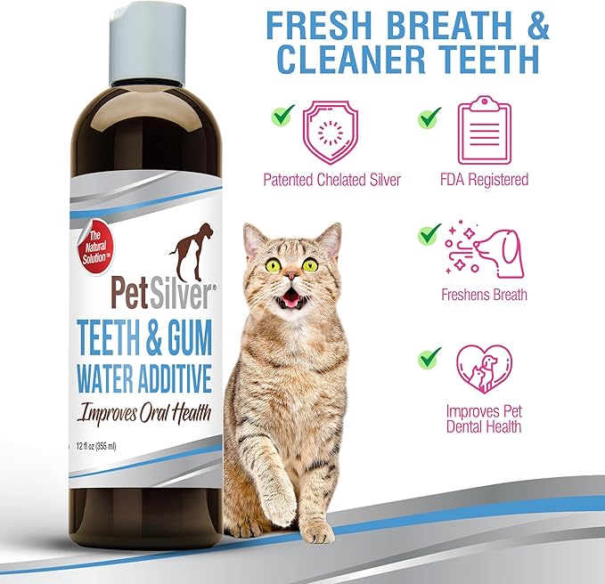 PetSilver Teeth & Gum Water Additive for Dental Care - Pet Breath Freshener - Targets Tartar, Plaque & Eliminates Bad Breath - Dog Oral Care & Cat Teeth Cleaning - No Brushing & Tasteless - 12 fl oz