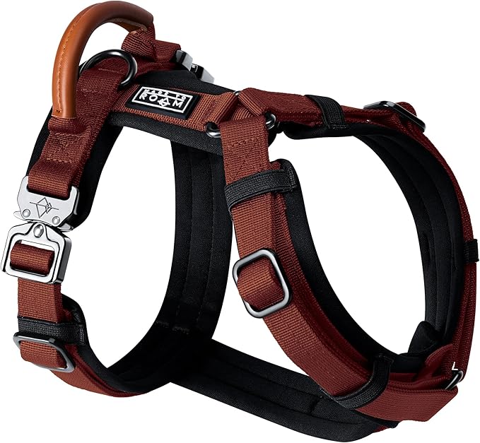 MADE TO ROAM Premium Explorer Harness - Y-Shaped Dog Harness with Adjustable Durable Nylon, Soft Padding, Metal Buckles and Leather Handle for Small, Medium, Large Dogs (Arizona Heartbeat, Size 4)