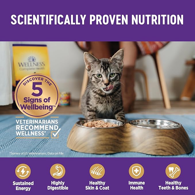 Wellness Complete Health Pate Kitten Wet Cat Food, Natural, Protein-Rich, Grain Free, 5.5 Ounce, 24 Pack, (Whitefish & Tuna)