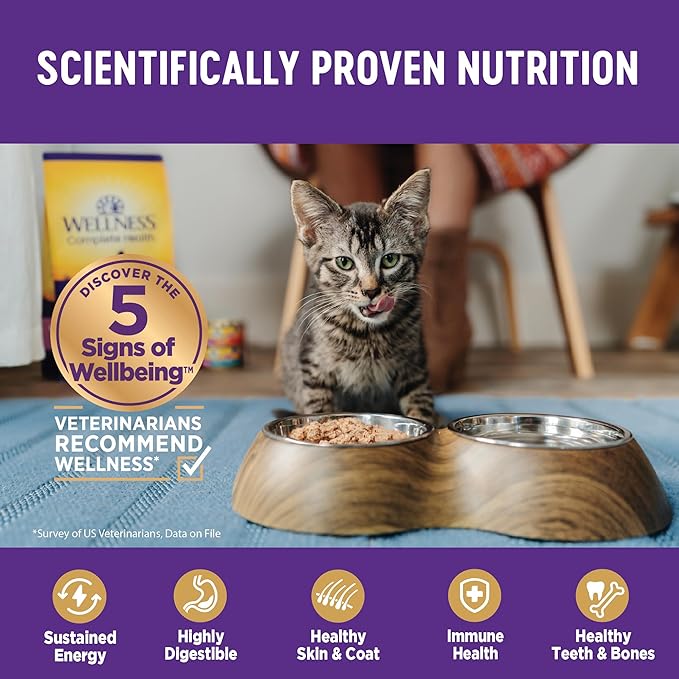 Wellness Complete Health Pate Kitten Wet Cat Food, Natural, Protein-Rich, Grain Free, 3 Ounce, 24 Pack, (Chicken)