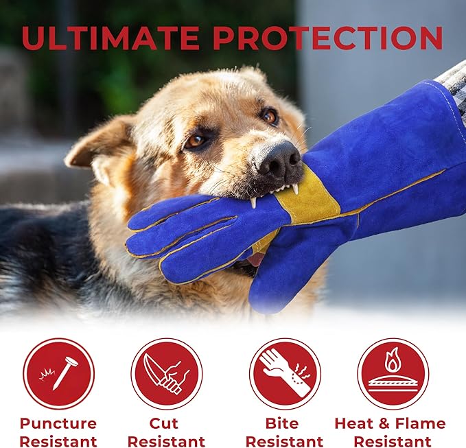 HANDLANDY Animal Handling Gloves, Falconry Cat Glove Bite Proof, Thorn Proof Rose Pruning Gardening Gauntlets (Royal blue, 14 Inches)
