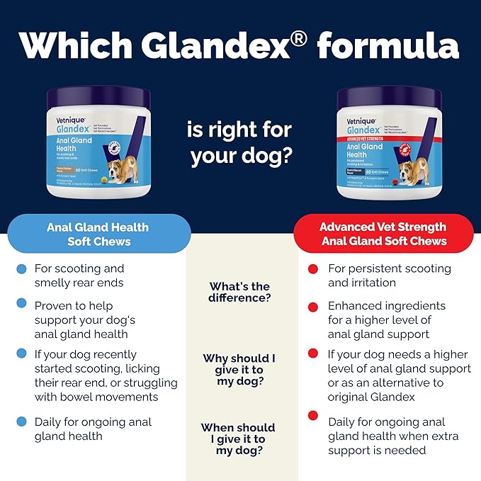 Vetnique Labs Glandex Anal Gland Soft Chew Treats with Pumpkin for Dogs Digestive Enzymes, Probiotics Fiber Supplement for Dogs Boot The Scoot (Bacon/Pork Chews, 120 Count)