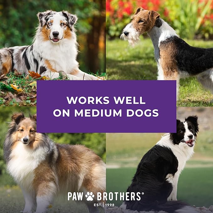 Ryan's Pet Supplies Paw Brothers Nail Clipper for Dogs and Cats, Pet Nail Clippers, Safe Grooming Tool, Professional Grade, Stainless Steel Blades, Safety Guard, Medium, 5.5 inches