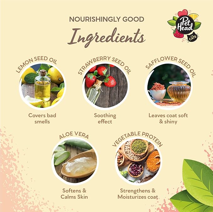 Pet Head Felin' Good Cat Shampoo | Fruity Scent | Shampoo for Smelly Cats | Nourishing & Deodorizing | Vegan | Lick-Safe | Gentle Formula for Kittens | Made in USA | 10.1 fl. oz.