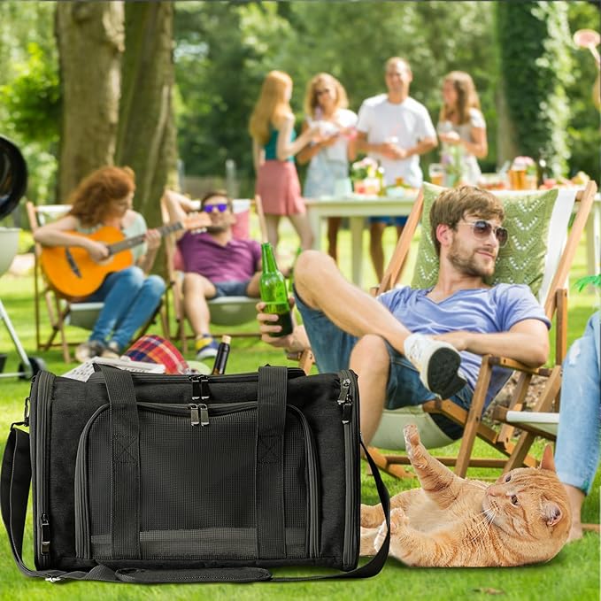 Roaringkitty Travel in Style: Portable Pet Carrier for Small Pets up to 15 Lbs- Airline Approved, Collapsible & Comfortable cat/Puppy Soft Sided Bag (Black)