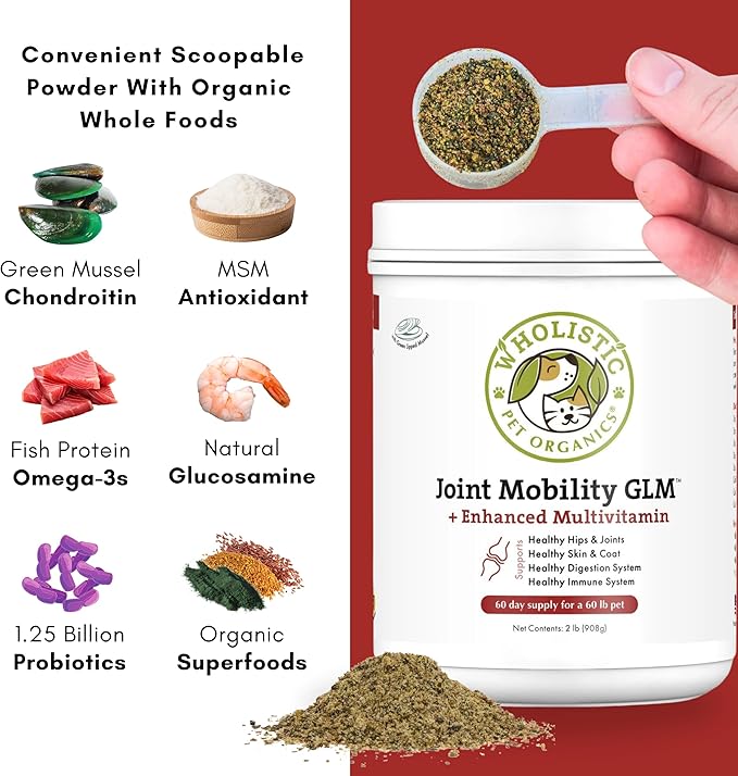 Wholistic Pet Organics Joint Supplement: Joint Mobility with Green Lipped Mussel Daily Joint Health Supplements for Dogs - Dog Glucosamine Powder with MSM, Probiotics, Vitamins, Minerals - 4 Lb