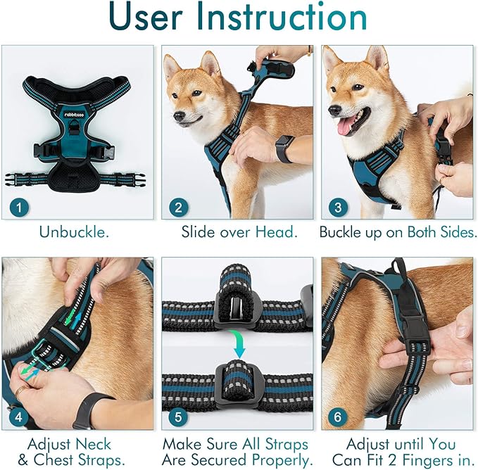 rabbitgoo Dog Harness No Pull with 2 Leash Clips, Adjustable Soft Padded, Reflective Oxford No Choke Pet Vest with Easy Control Handle for Small Dogs, Blue Coral, S