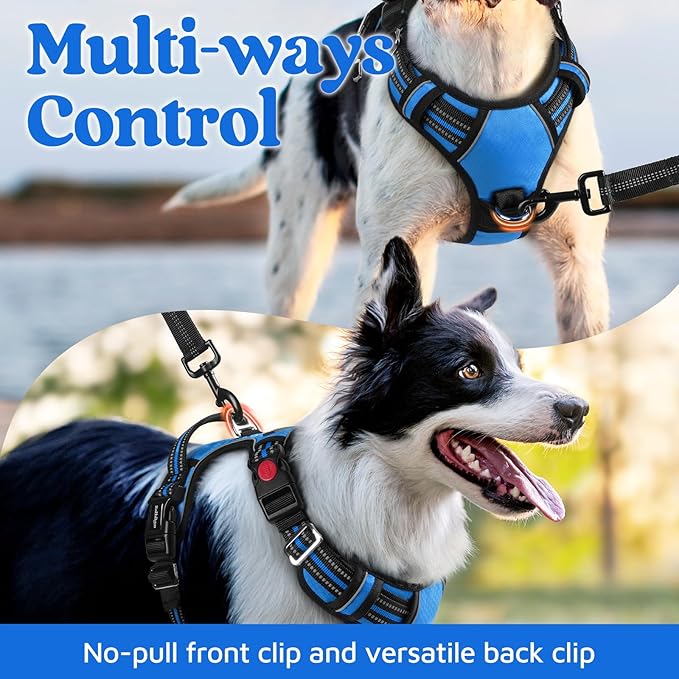 rabbitgoo Dog Harness for Large Dogs, No Pull Pet Vest with 3 Buckles, Adjustable Soft Padded Pet Harness with Easy Control Handle and Reflective Strips, Blue, XL