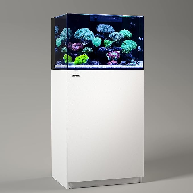 Landen 60P 26.23 Gallon Ultra Clear All Glass Rimless Low Iron Aquarium Tank with Rear Filtration Chamber for Salt and Fresh (Return Pump Included) 23.6Wx17.7Dx15.8H in(60x45x40cm) 8mm Thickness