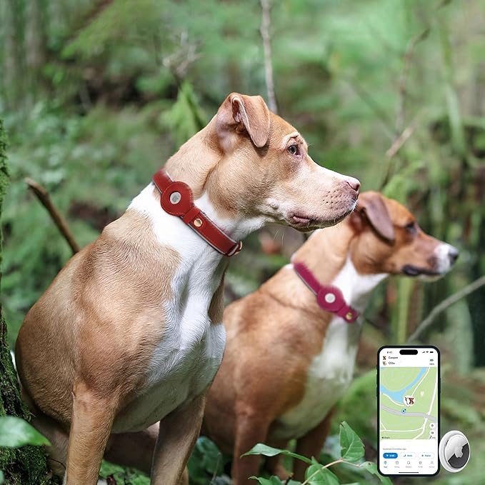 OOPSDOGGY Reflective Geniune Leather Airtag Dog Collar Soft Padded Collars for Small Medium Large Breed Dogs Puppy, 4 Sizes, 7 Colors (Red, Small, 9"-12")