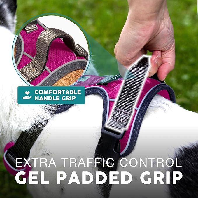 Embark Adventure Dog Harness, Reflective Trim No Pull Dog Harness for Large Dogs - Military Grade Nylon, Front Clip with Gel Lined Handle.