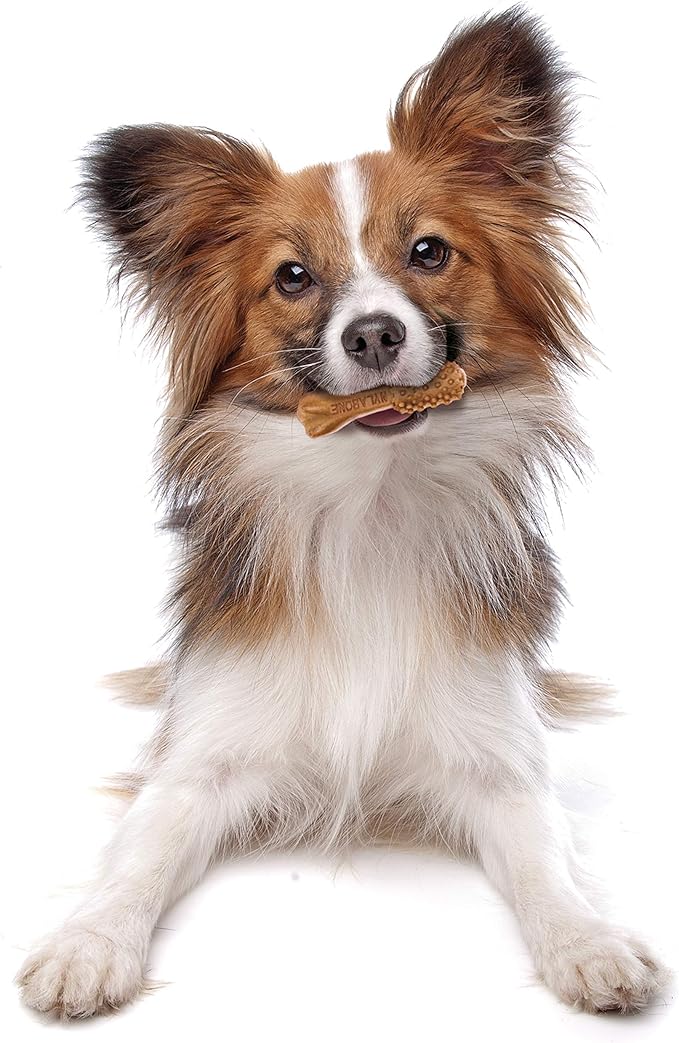 Nylabone Nutri Dent Dog Dental Chews - Natural Dog Teeth Cleaning & Breath Freshener - Dental Treats for Dogs - Filet Mignon Flavor, Mini (32 Count)