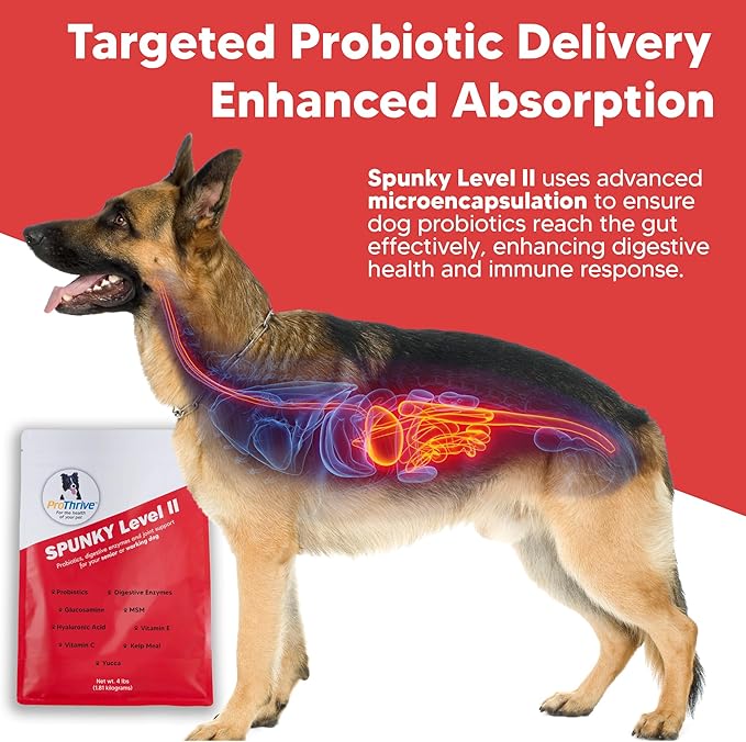Spunky Level II Hip and Joint Supplement for Dogs, Glucosamine for Dogs with MSM, Dog Vitamins and Supplements Helps Digestion, Dog Joint Supplement - 1LB