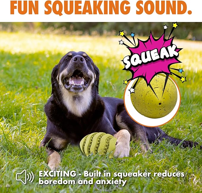 Max Fusion with Nike Grind, Arlee Spiro Football Treat Dispensing Dog Toy, Durable Dog Treat Toy, L