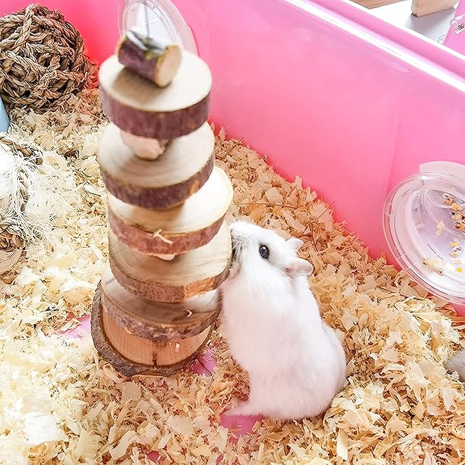 Natural Organic Apple Wood Chew Toys, 2 Pack Small Animal Snacks Toys Suitable for Bunny, Chinchilla, Guinea Pigs, Hamsters Teeth Grinding