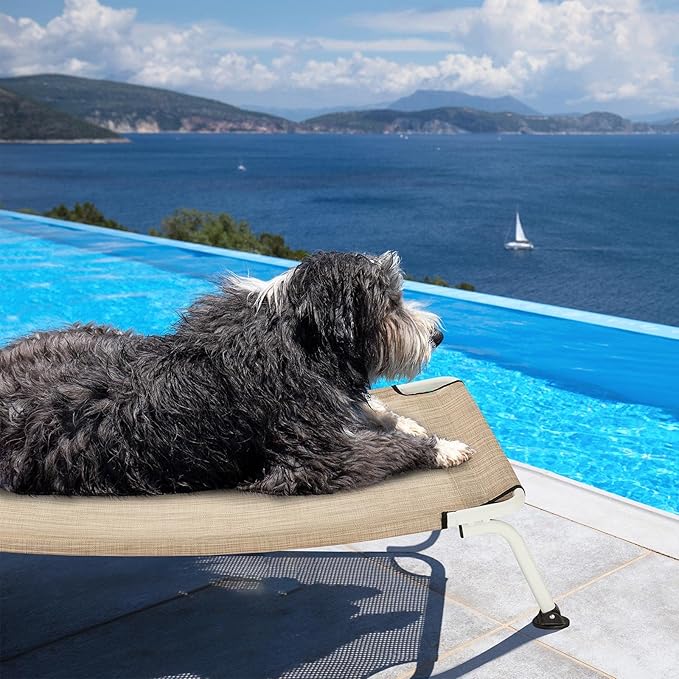 Veehoo Elevated Dog Bed for Outdoor, Cooling Waterproof Raised Dog Cots Beds for Medium Dogs, Curved Off Ground Pet Hammock Cot Lifted for Outside, up to 65lbs, White Legs, Beige 32"