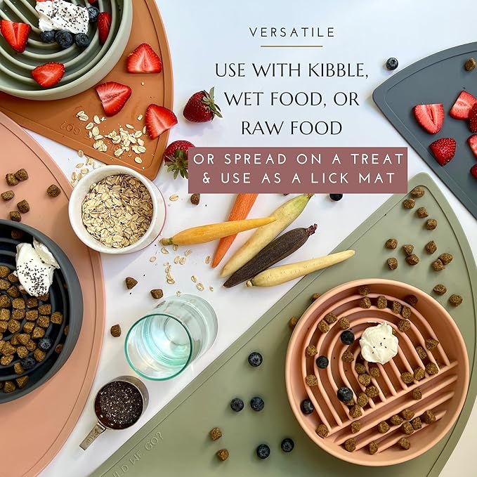 The Slowdown Bowl Silicone Slow Feeder for Cats & Dogs, Slow Eating Mealtime Solution with Modern Lick Mat Design, Reduces Gulping, Fits 1 Cup 6” Across x 1.25” Tall, Small-Charcoal