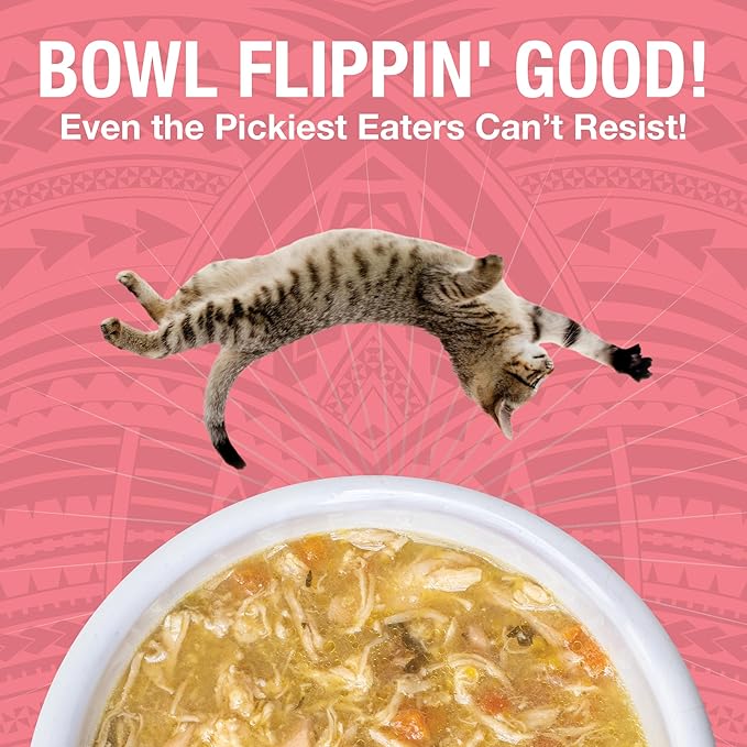 KOHA Pure Shreds Chicken and Salmon Entrée for Cats, High Protein Wet Cat Food, 5.5oz Cans (Pack of 12)