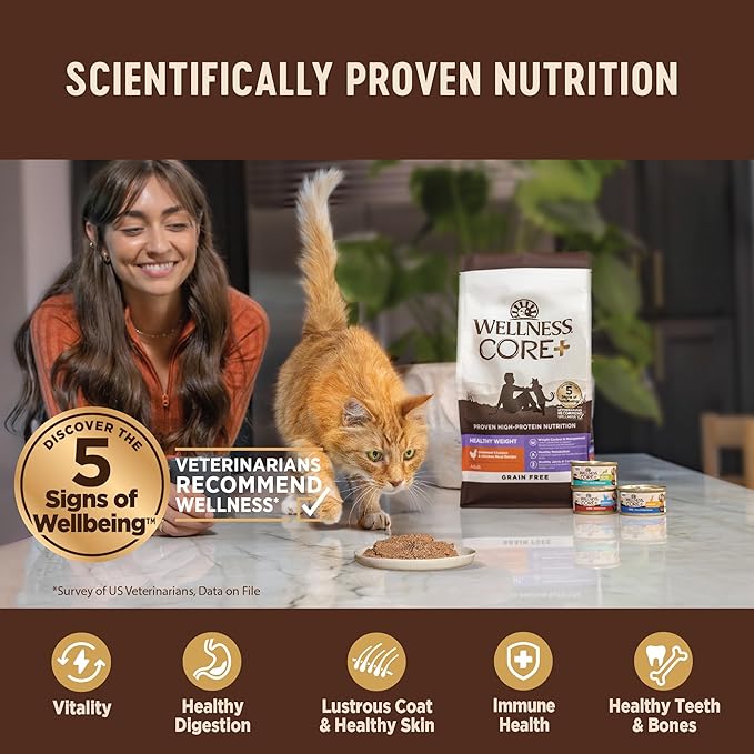 Wellness CORE+ Hairball Pate Adult Wet Cat Food, Natural, Protein-Rich, Grain Free, 2.8 Ounce, 12 Pack (Chicken)
