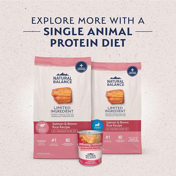 Natural Balance Limited Ingredient Adult Dry Dog Food with Healthy Grains, Salmon & Brown Rice Recipe, 24 Pound (Pack of 1)