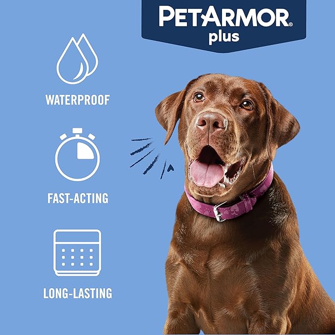 PetArmor Plus Flea and Tick Prevention for Dogs, Dog Flea and Tick Treatment, 12 Doses, Waterproof Topical, Fast Acting, Large Dogs Dogs (45-88 lbs)