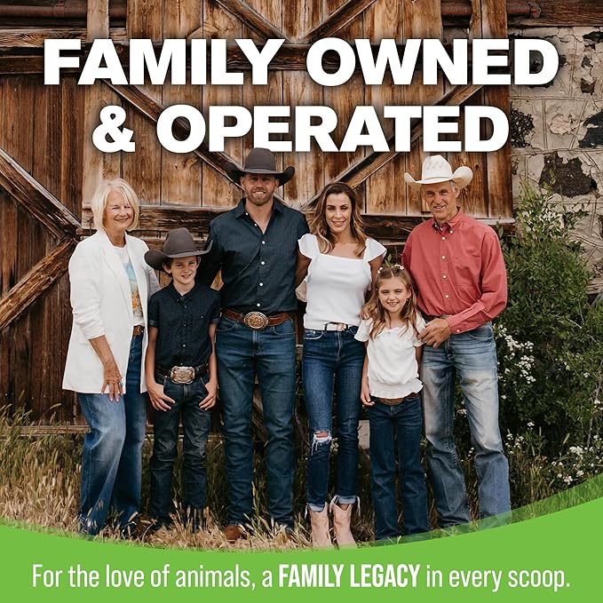 Silver Lining Herbs Bright Eyes Vitamins - Horses Eye Supplements to Support Capillary Health, Great Vision, & Overall Eye Health - Plant-Based Herbal Horse Supplements - 1 lb 60-Day Supply