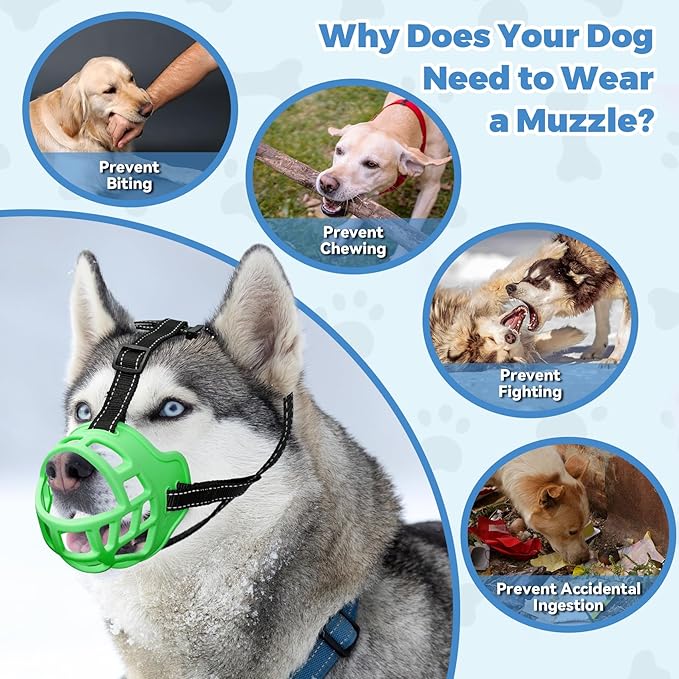 Dog Muzzle for Large Dogs, Breathable Basket Muzzles for Small, Medium and X-Large Aggressive Dog, Allows Panting Drinking, Suitable for Grooming Trimming Training (5, Luminous Green)