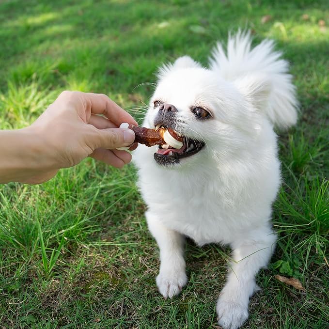 MON2SUN 2.5" Rawhide Free Dog Treats with Mixed Vegetables, Duck Wrapped Mini Knot Bones for Small Dogs, Healthy Snacks for Balanced Nutrition, 21.2oz