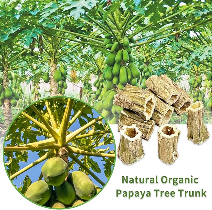 Fhiny Rabbit Chew Toys, 8 PCS 2" Natural Papaya Wood Chew Sticks Guinea Pig Treats for Dental Care Bunny Treats for Rabbits Small Pet Molar Snacks for Bunny Guinea Pig Chinchilla Hamster Gerbil