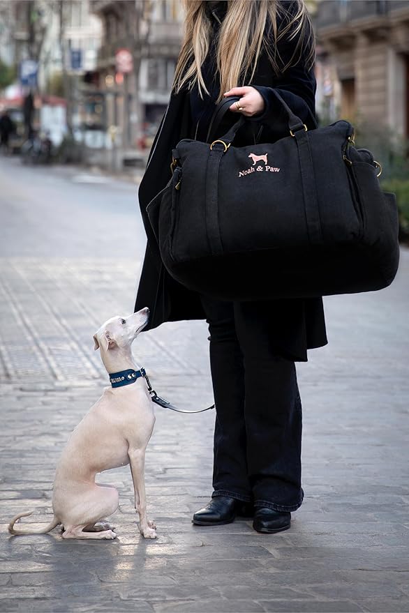 Noah & Paw Dog Car Seat Carrier, Small Dog Car Seat for Small Medium Pets with Harness Clip, 4X Safety Feature, Booster Travel Bed, Waterproof Washable, Orthopedic Foam Filling, Canvas Collection