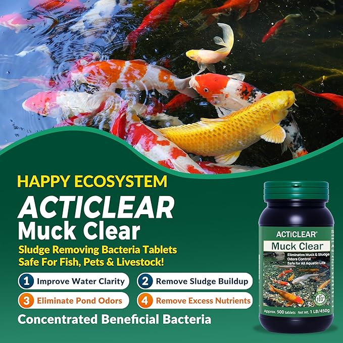Muck Clear – Natural Pond Sludge Treatment, 2 LB for Ponds, Fountains & Bird Baths, Beneficial Bacteria & Enzymes, Chemical-Free & Safe for Fish, Pets & Wildlife