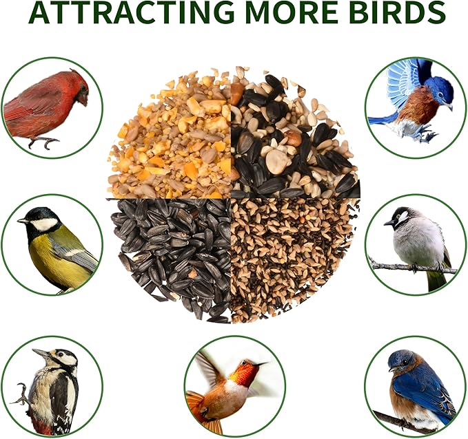 Solution4Patio US Cedar Hopper Bird Feeder for Outdoors Hanging, Handcrafted Wood Double Suet Cage & Clear View Windows, Squirrel-Proof Wild Bird Feeder for Cardinals, Finches, Chickadees