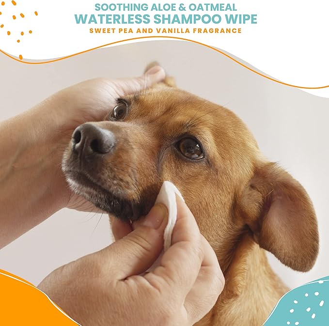 Nootie Waterless Shampoo Wipes for Dogs & Cats (70 Wipes, Sweet Pea & Vanilla)