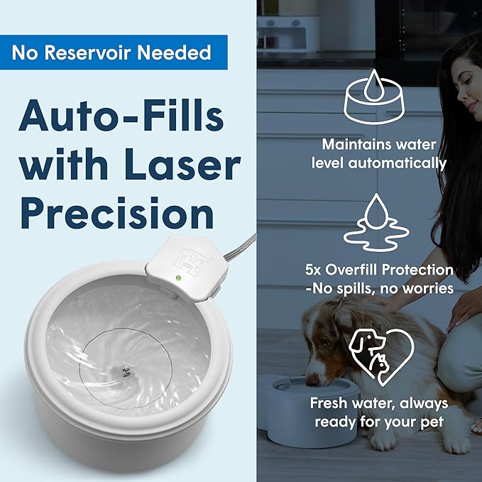 Always Full® 7" Pet Water Bowl and Bottle Pump Bundle, Self-Refilling, Clean Filtered Water, App-Enabled Hydration Monitoring, Easy Upgrade to Wall Unit, Cat and Dog Water Bowls