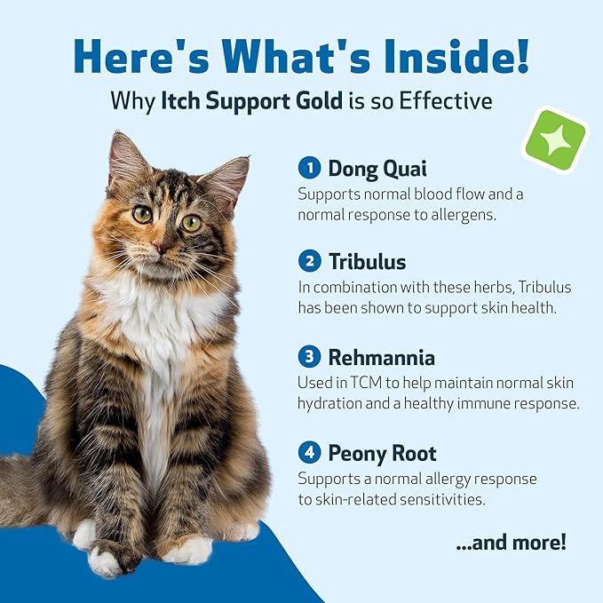 Pet Wellbeing Itch Support Gold for Cats - Occasional Itching, Scratching, and Hot Spots, Environmental and Seasonal Allergies, Dong Quai - Veterinarian-Formulated Herbal Supplement 4 oz (118 ml)