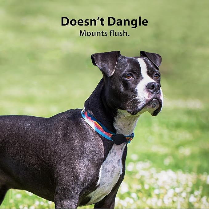 Elevation Lab TagVault™ Compact AirTag Dog Collar Mount (4 Pack) - IP68 Waterproof, Doesn't Dangle, Fits All Width Collars